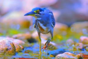 世界杯总身价,足球界最迷人的数字游戏世界杯总身价