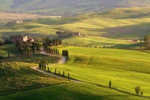 世界杯,从南半球的足球盛宴到全球的体育盛事世界杯发展史